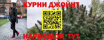 прущие грибы Гусь-Хрустальный