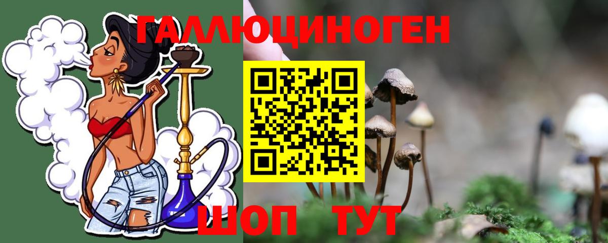 Нижний Тагил  Псилоцибиновые грибы GOLDEN TEACHER  Вход с VPN 